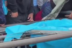 洛里這反應太慢了！羅伊斯在洛杉磯德比中一腳任意球絕平
